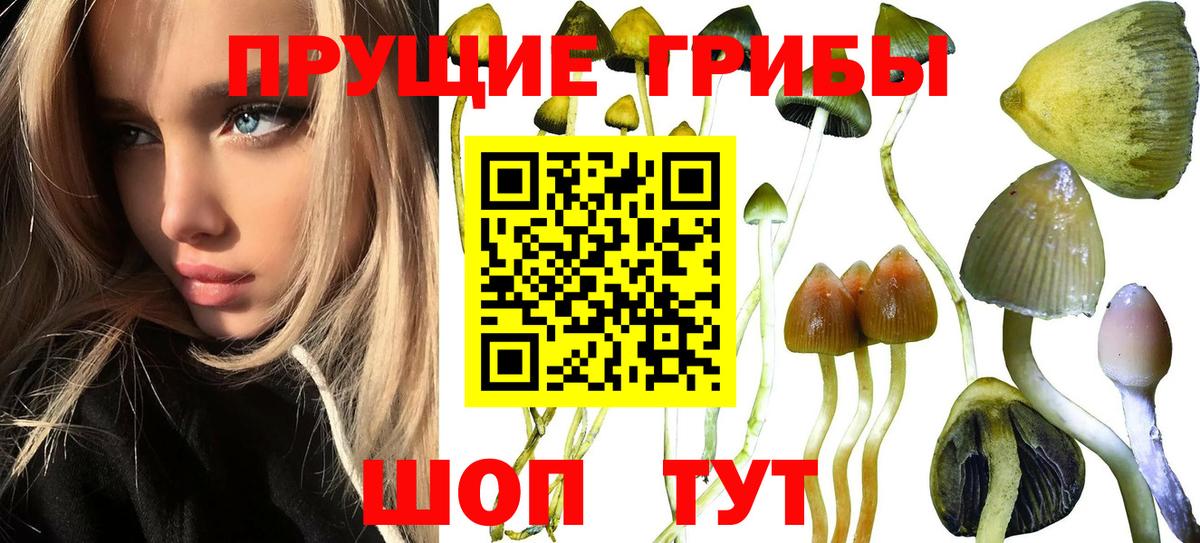Галлюциногенные грибы мицелий  Псилоцибиновые грибы Psilocybine cubensis  дарнет шоп  Вход с VPN  Старая Купавна 